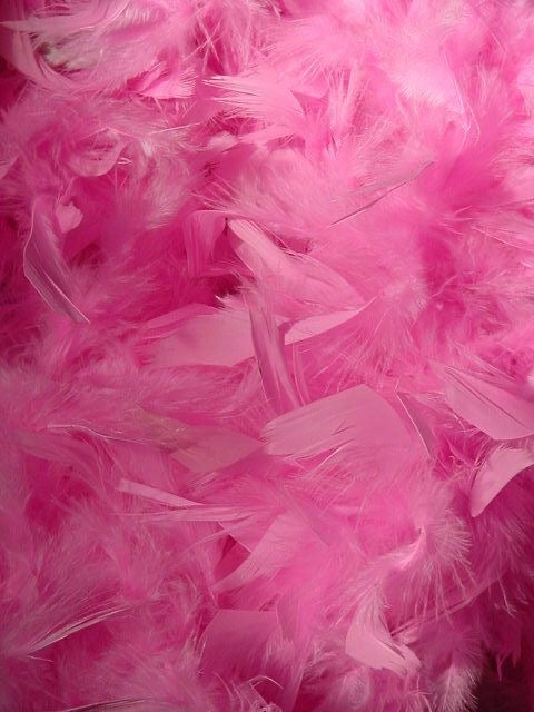 Harry Feathers Boa