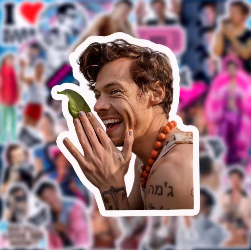 Harry Styles Stickers (Pack of 66 Stickers)